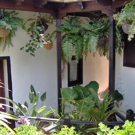 Fuer 2 Personen Ca 50 M In Icod De Vinos, Teneriffa Nordkueste Von Teneriffa Apartment Icod De Los Vinos